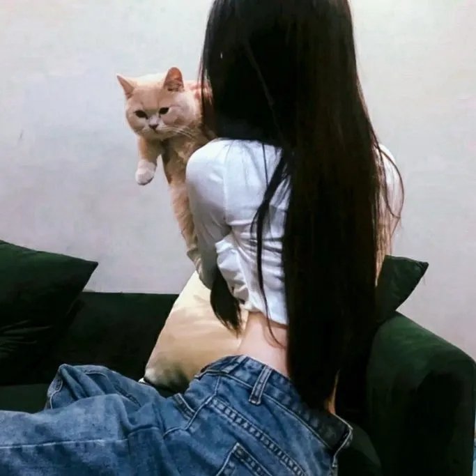 维特封面